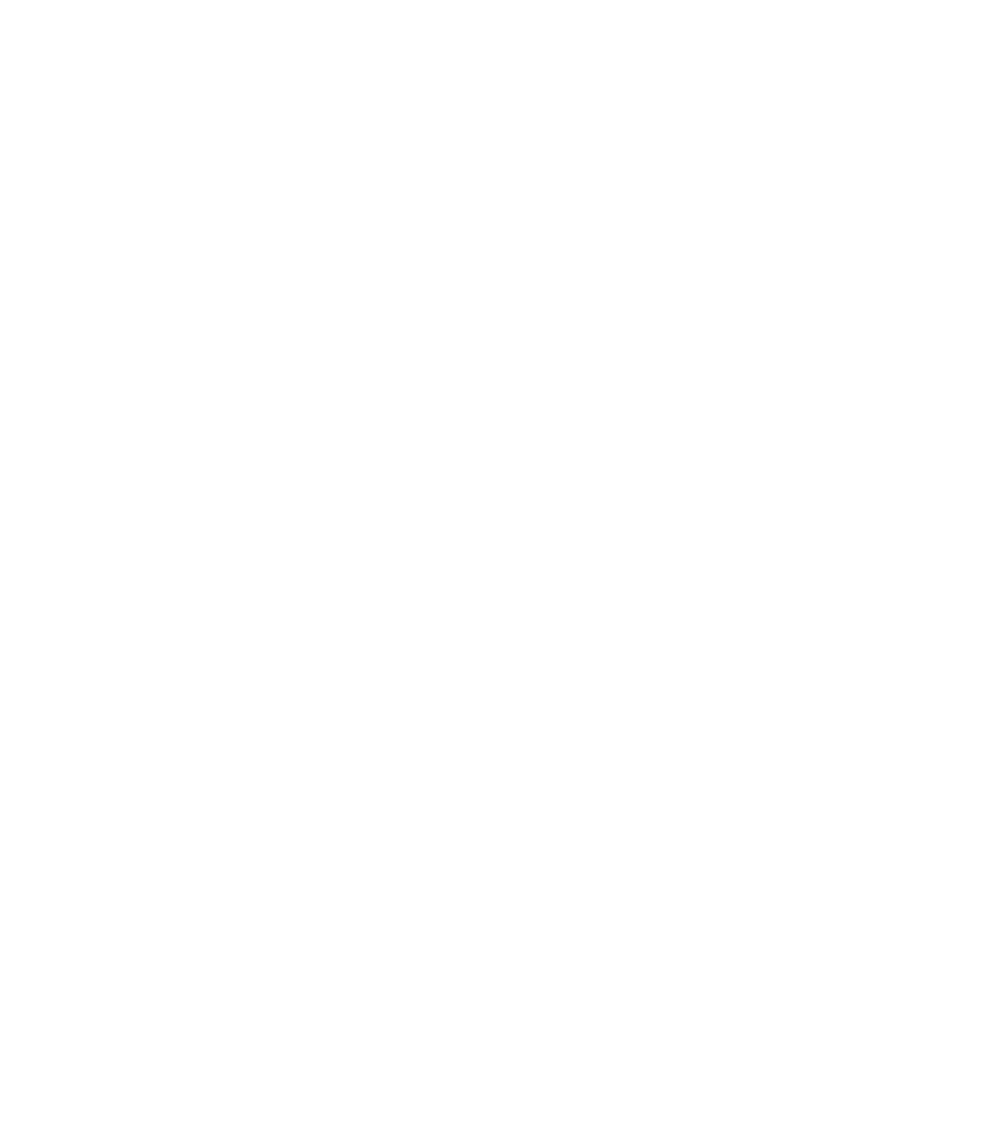 velux